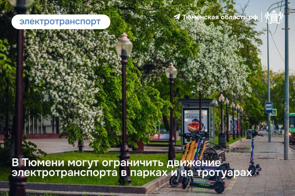 �������� � ���?. ������ ������� �������� �� ����������� �������� ������� �������������� �����������