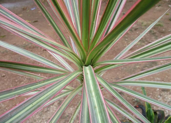 ������� ����� �� ��������: ��� ��������� � ������ � ��������