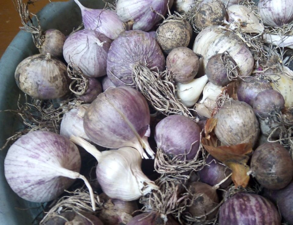 ��� ��������� �������� �������: ���������� ����������� ��������� � ������� ���������