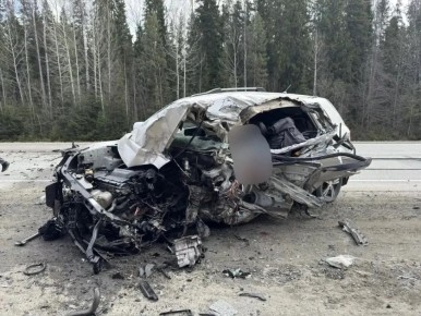 Страшная авария с летальным исходом произошла на тюменской трассе: фура вылетела с проезжей части в деревья