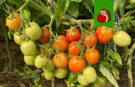 ��� �������� ��������� ��� ������� ������� ������� ����� �������