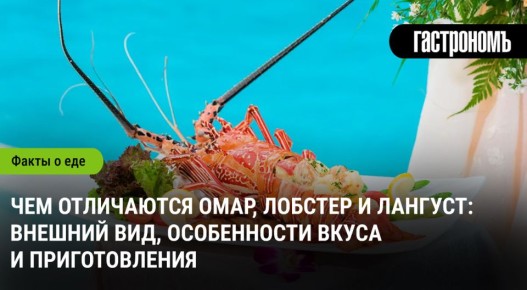 ����, ������� � �������: ���������������� ����� � ������� ������