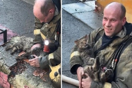 ��� �����, �������� ������ �� ������ �� ���������� 220, ����� ��������