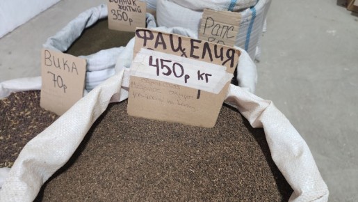 ������� ��������� ������ ��������� � ��������