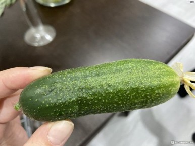 ������ ���������: ��������� ������� ��� ������� ������ � ���������������