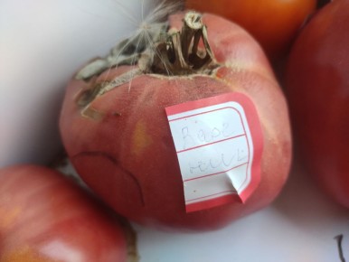 ��� ������� ������ � �������: �������� ������ ��� ���������