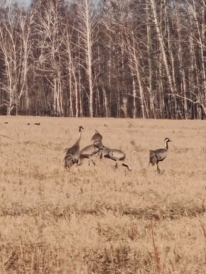 ���� ����� ������ ����. �� ��������� ������� ����������� ��������