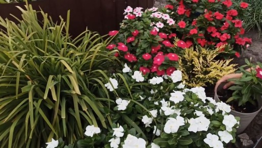 ������� �������� �������: ��� ���������� ����� ������� ���� ������