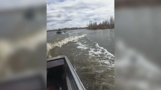 ����� ������ �� ���� � ��������������� ������