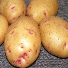 ��������� �����: ��������� ��������� ����� � �������������