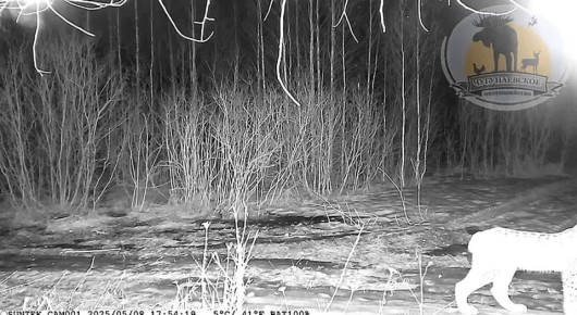 ��, � ��� ��� ��� � ���?). �������� ���� ������ � ������ ����������� � ��������� ���� ���) �����: ������������� ������������