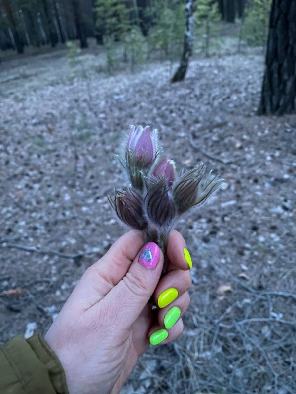 ������� ������� � ���� ������ �����