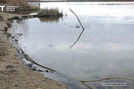 �������� � �������� � ��������� ������� ������� ���������