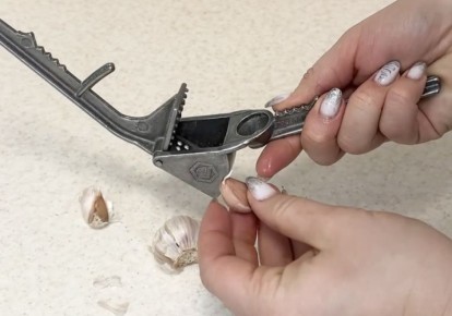 ������������: ������, ��� ������ �������� �� �����