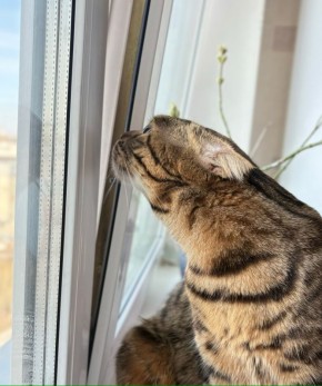 � ��������� � ����: ��� ��� � ������������ ������� � ������?