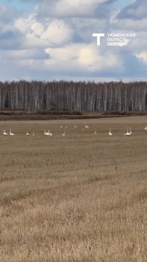 ������ ��������� � ��������� �������!