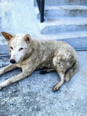 �� ������ ������� � ���� � ���������� ������� ������� � ������� ������ ��-�� ������ � ����� ������������ ���������������