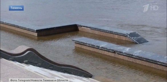 � ������ �������� ������ ���� ��������� ���������� � ���� �� ��������� ����� ��������� ������ ��� �� 20 �����������