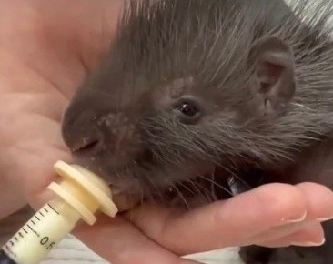 ��������� � ���������� ������ ������� ��������� ��������� � ������ ������ ��������� � ������ ������������ �� ����������