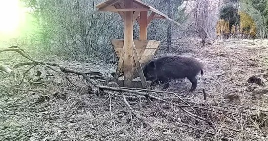 ����-��������� � �� �������� ������ �� ������ ����������� � ������������ ������