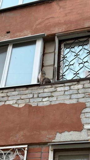 ����� ��� ������ ���� � �������