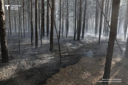 � ��������� ������� ����������� ���� ������ �����