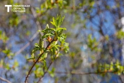 ������, �������� � ������� ���!