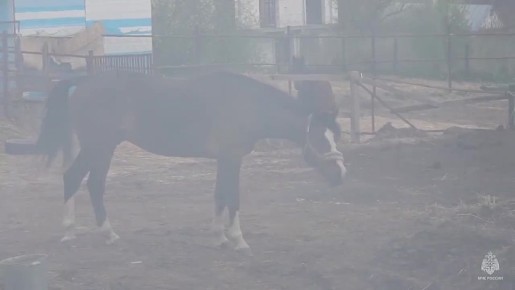 ��������� �������� �� ���� �������� �� ����� � �������