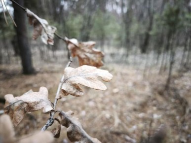 ���� ������� �� ������� 25,14 �� ������������� � ����� ��������� ������� �� �����