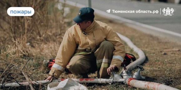 � ��������� ������� 93 ������ �������� �������� ������������ � ����