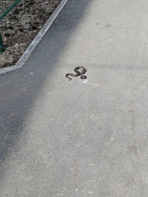 ���� ������ ����������� � ��������� �������