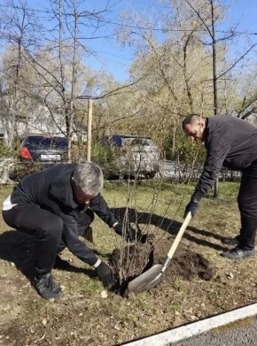 ������ ���������� ����������������� ������ � ����������� ���������� �� ������ ������ ������� ���������� ���������