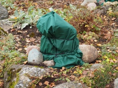 ��� ����������� �������� � ����: ���������� ������ ��� ���������