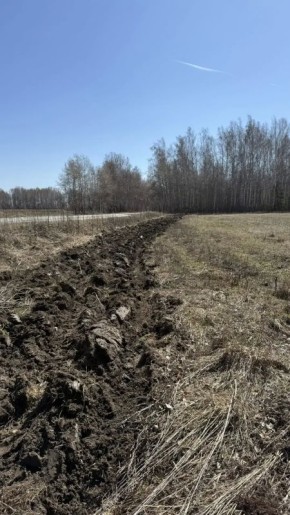 ��������� ��������� ������� ������������ ���������������� ������