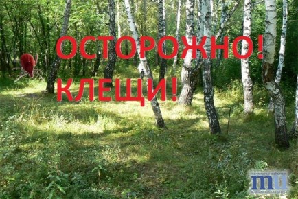 � ��������� ������� ��������� ������� ����� �� ������������ ��������� ����������