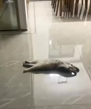 ������� ���������� ����� ����� �� ���� ����?