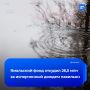 ����� ���� 26 ��� ������: �� ��������� ������ �������� ���� �� ����������� �����