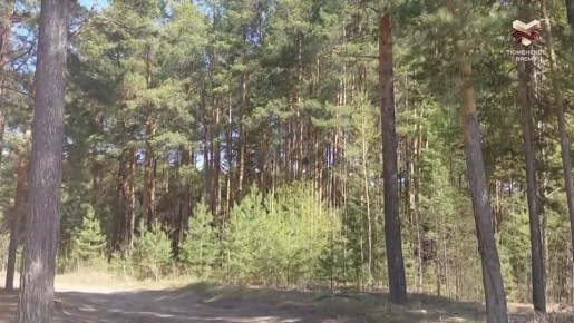 ������ ��������������� ����� ����� �� ���������� ��������� ������� � 28 ������
