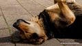 ���� �� ���� 26 �������� ������� ��������� ���� � ����� � ���� �������� ����, �������� � ������������ ���������������