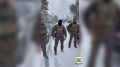 � ���� ����������� ��������� �������������� � ���������� ���������������� ������������
