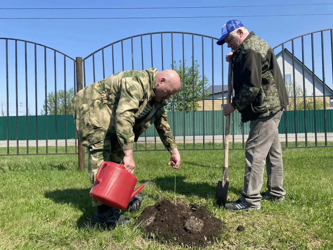 В Сорокинском округе создают аллею "Дерево мира" В Сорокинском округе создают аллею "Дерево мира"