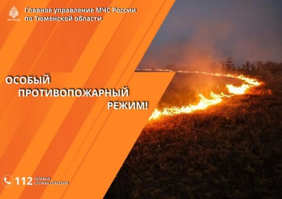 � �������� ������� ���������������� ������, ���� ���������� ������� �������� ������������ ������������ � ����������������� ��������� � ���� ����������������� ������: