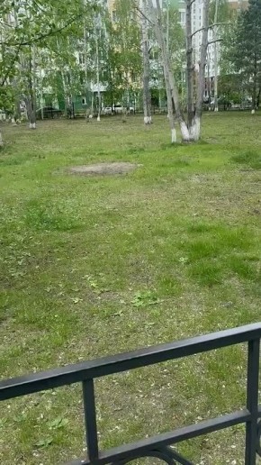 � ������ ���������� ����������� ���������