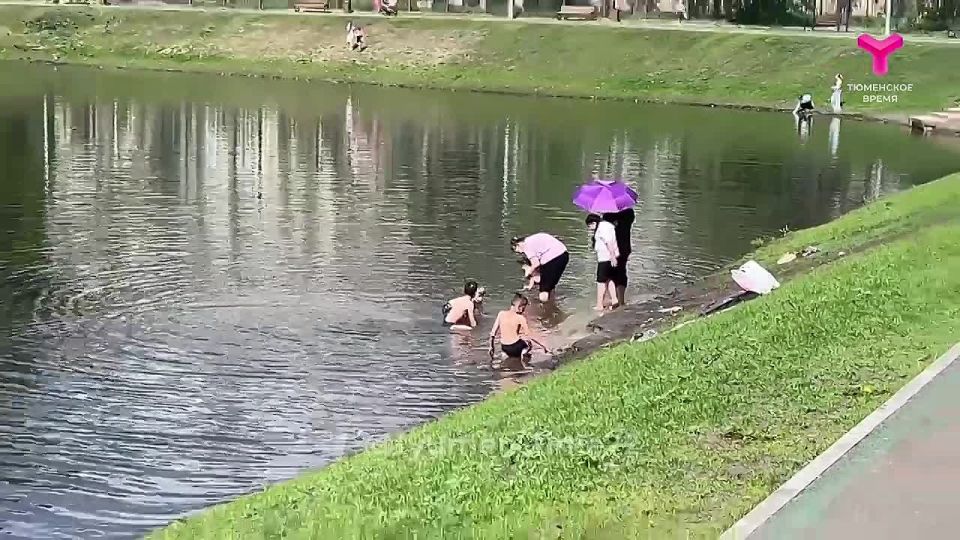 На пруду Утином купаются дети