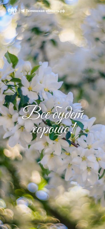 Весна теперь всегда с вами! Даже на экране телефона Весна теперь всегда с вами! Даже на экране телефона