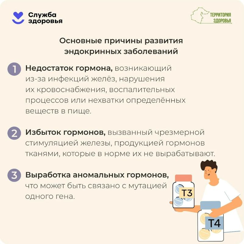 Эндокринная система играет ключевую роль в работе организма Эндокринная система играет ключевую роль в работе организма