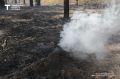 За сутки в Тюменской области потушили 5 лесных пожаров