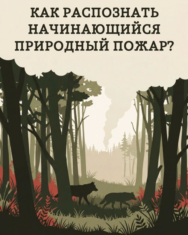 Заметили огонь — не теряйте ни минуты
