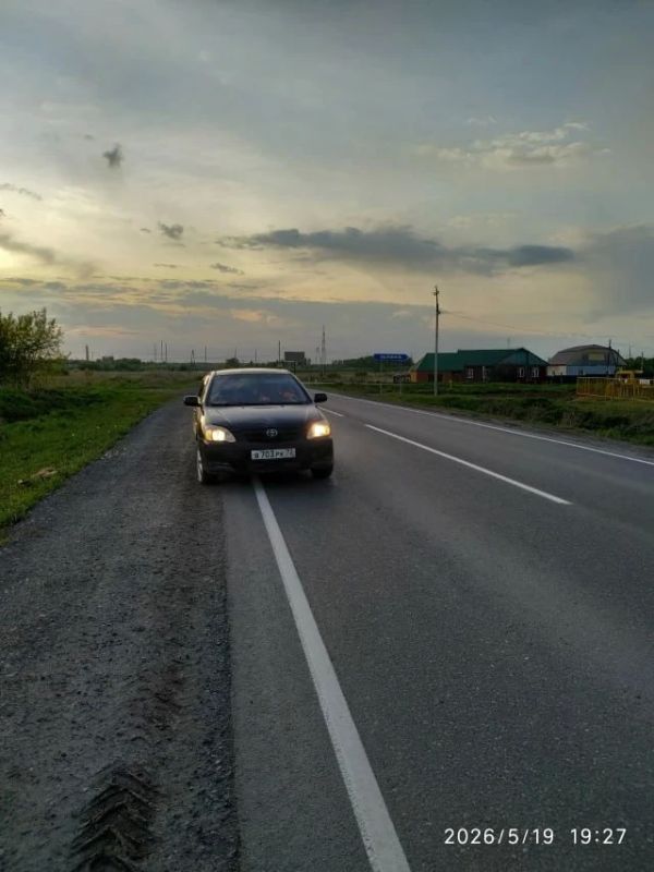 В Ишимском округе неизвестный застрелил собаку