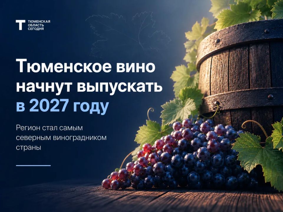 В Тюменской области появится своё вино